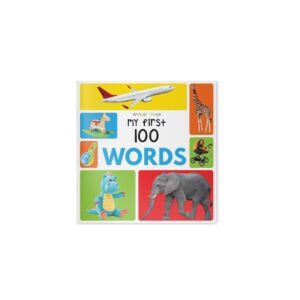 My First 100 Words By Wonder House Books