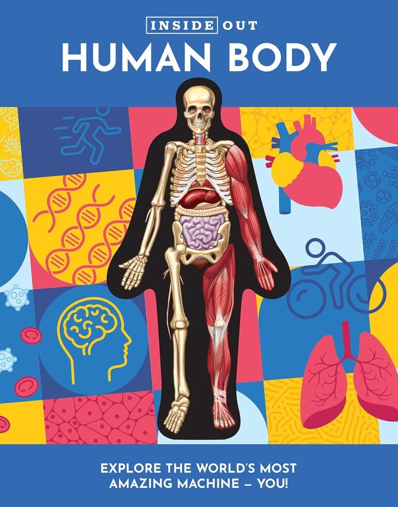 Inside Out Human Body by Luann Columbo