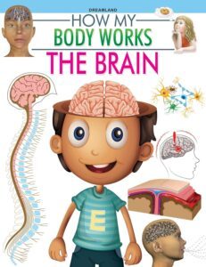 The Brain