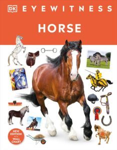 Eyewitness – Horse