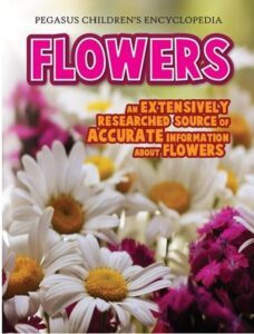 Flowers – A Beautiful Introduction to Nature’s Blossoms
