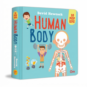 Pop Up Human Body