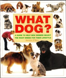 What Dog? by Amanda O'Neill