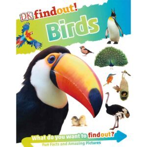 DKfindout! Birds KS1 by Dr Paul Gale